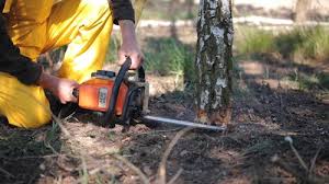 Monticello, MS Tree Removal Company